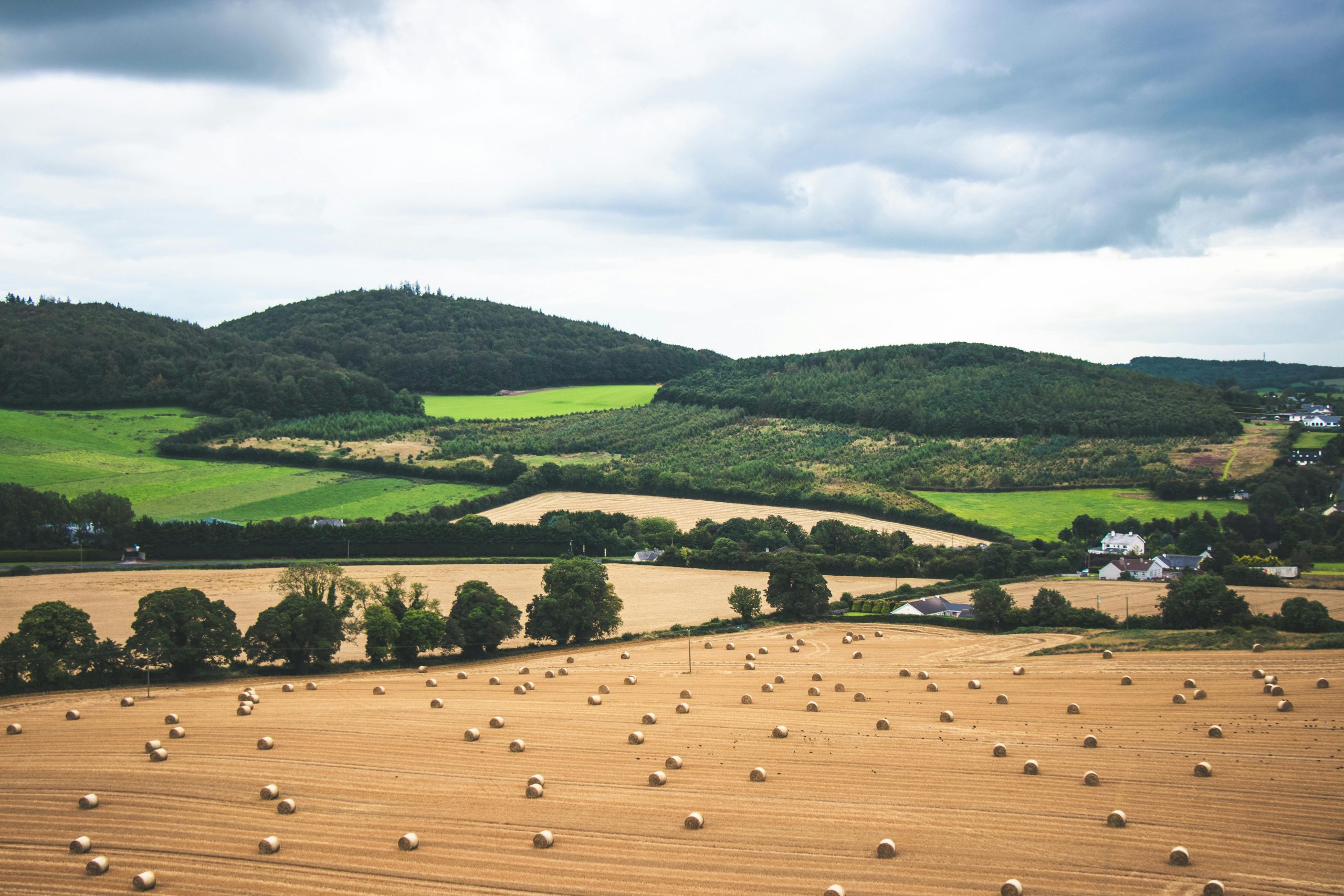 About UWC Northern Ireland